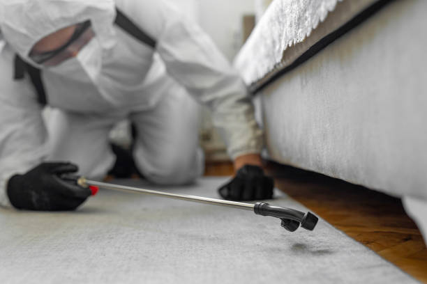 Professional Bed Bug Control technician working in Manhattan, MT