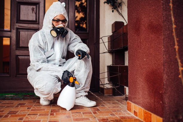 Reliable Bed Bug Control contractor in Manhattan, MT by Nex Pest Control